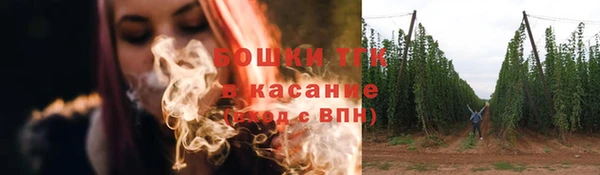 индика Пестово