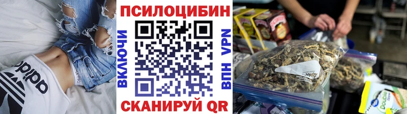 наркота  Стрежевой  Галлюциногенные грибы Psilocybe 